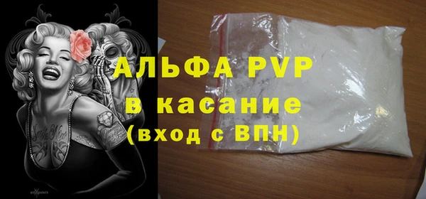 гидра Инсар