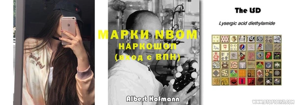 гидра Инсар