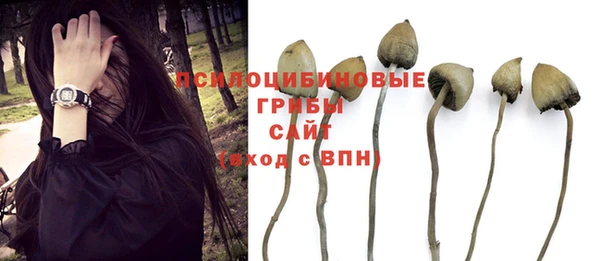 гидра Инсар
