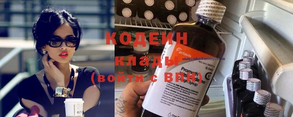 гидра Инсар